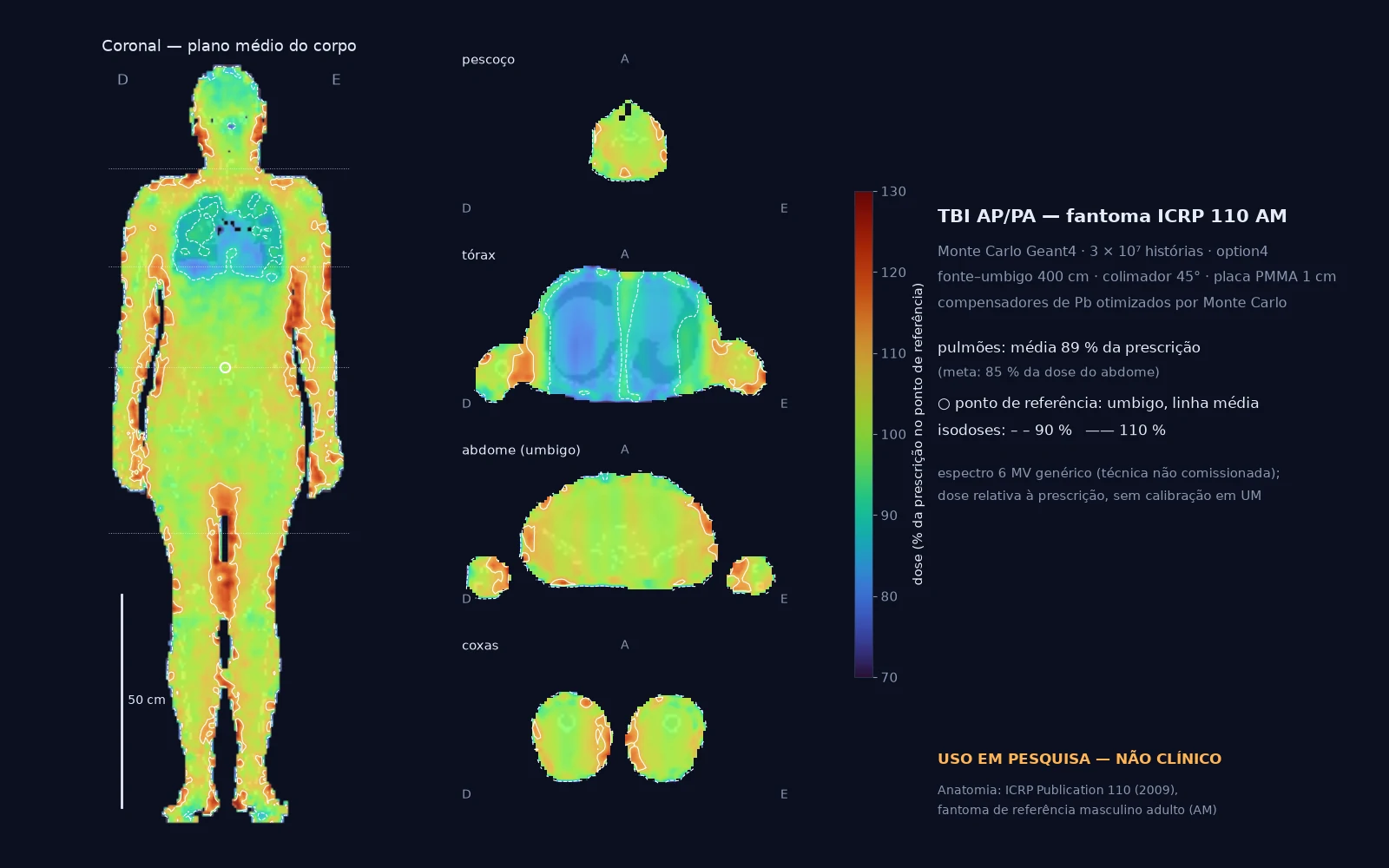 Fantoma ICRP 110 masculino em pé com mapa de dose em cores: corte coronal no plano médio do corpo e quatro cortes axiais (pescoço, tórax, abdome no umbigo e coxas). A dose fica perto de 100 % no corpo e mais baixa nos pulmões, que recebem bloco parcial.